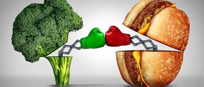 comida útil y dañina