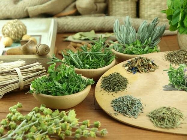 Fitoterapia para la potencia